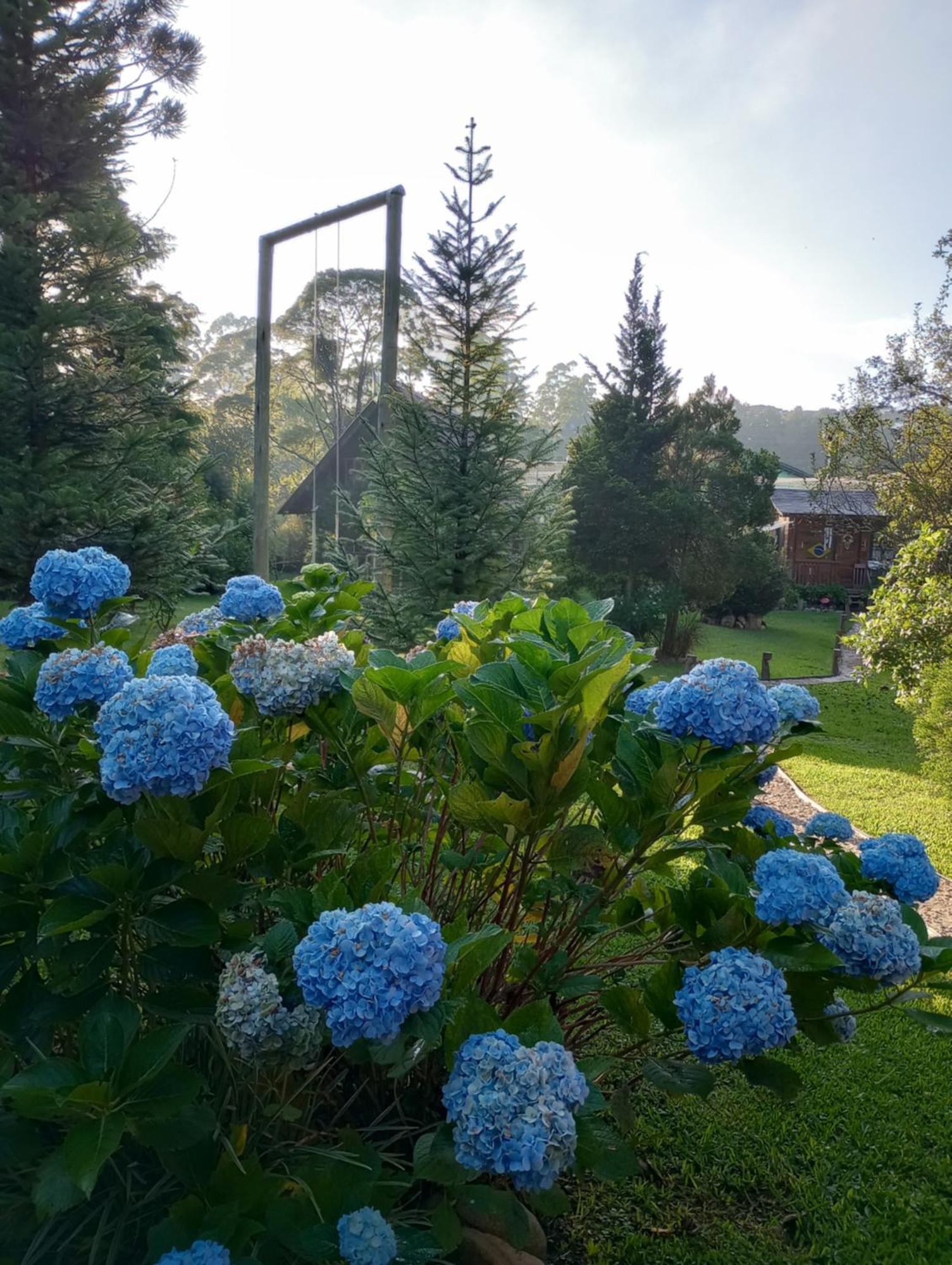 Casa De Toras Otel Campo Alegre  Dış mekan fotoğraf
